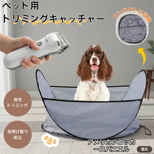 y5{|CgzAJERbJ[EXpjG ybgg~O}bg єюUh~ ͂t уLb`  L g~OV[g Jbgp ybgoJ΍ ё|