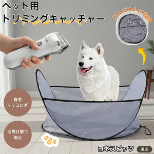 y5{|Cgz{XsbciJapanese Spitzj ybgg~O}bg єюUh~ ͂t уLb`  L g~OV[g Jbgp ybgoJ΍ ё|NN 