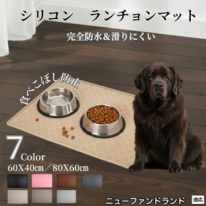 j[t@hhiNewfoundlandj ybg `}bg  L VR h h ~ t[h}bg H}bg Hׂڂ΍ ybgg[ Yh~ GTMp g[ H