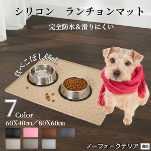 m[tH[NeAiNorfolk Terrierj ybg `}bg  L VR h h ~ t[h}bg H}bg Hׂڂ΍ ybgg[ Yh~ GTMp g[ H