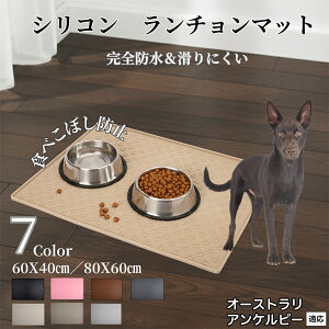 I[XgAEPs[ ybg `}bg  L VR h h ~ t[h}bg H}bg Hׂڂ΍ ybgg[ Yh~ GTMp g[ H}bg