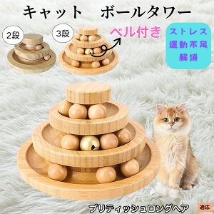 �y5�{�|�C���g�z�u���e�B�b�V�������O�w�A British Longhair �V�R�| �L���b�g�{�[���^���[ ���w��]�{�[�� �L�p�������� �����V�� �m��^���[ �q�L ���L �X�g���X���U �^���s���΍� ����������