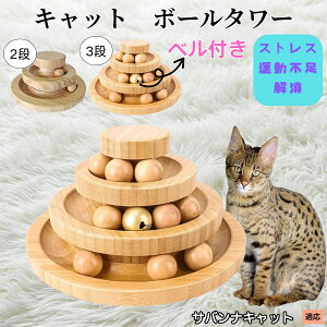 �y5�{�|�C���g�z�T�o���i�L���b�g Savannah Cat �V�R�| �L���b�g�{�[���^���[ ���w��]�{�[�� �L�p�������� �����V�� �m��^���[ �q�L ���L �X�g���X���U �^���s���΍� ���������ɂ���������