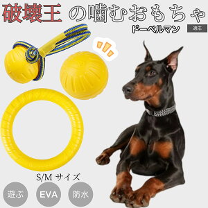 �y5�{�|�C���g�z�h�[�x���}���iDoberman Pinscher�j EVA�h�[�i�c�����O ���p�������� �y�� ��v ���ɂ��� ���ނ������� �{�[���^ �������P�A ���ɕ��� ���^�� ���^�� ��^���Ή� �y�b�g�g�C �X