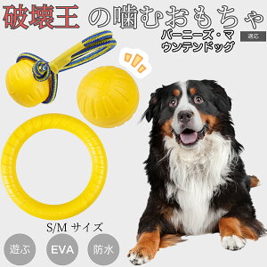 �y5�{�|�C���g�z�o�[�j�[�Y�E�}�E���e���E�h�b�O EVA�h�[�i�c�����O ���p�������� �y�� ��v ���ɂ��� ���ނ������� �{�[���^ �������P�A ���ɕ��� ���^�� ���^�� ��^���Ή� �y�b�g�g�C 