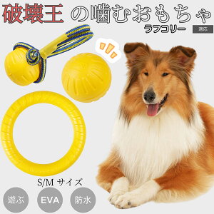 �y5�{�|�C���g�z���t�E�R���[�iRough Collie�j EVA�h�[�i�c�����O ���p�������� �y�� ��v ���ɂ��� ���ނ������� �{�[���^ �������P�A ���ɕ��� ���^�� ���^�� ��^���Ή� �y�b�g�g�C �X�g��