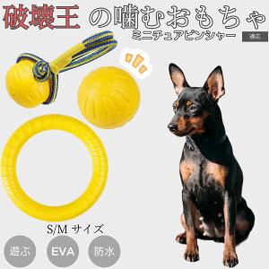 �y5�{�|�C���g�z�~�j�`���A�s���V���[�iMiniature Pinscher�j EVA�h�[�i�c�����O ���p�������� �y�� ��v ���ɂ��� ���ނ������� �{�[���^ �������P�A ���ɕ��� ���^�� ���^�� ��^���Ή� �y�b