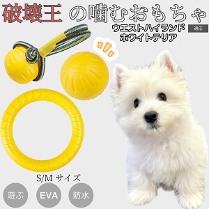 �y5�{�|�C���g�z�E�G�X�g�n�C�����h�z���C�g�e���A EVA�h�[�i�c�����O ���p�������� �y�� ��v ���ɂ��� ���ނ������� �{�[���^ �������P�A ���ɕ��� ���^�� ���^�� ��^���Ή� �y�b�g�g