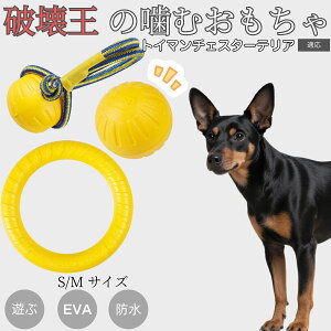 �y5�{�|�C���g�z�g�C�}���`�F�X�^�[�e���A EVA�h�[�i�c�����O ���p�������� �y�� ��v ���ɂ��� ���ނ������� �{�[���^ �������P�A ���ɕ��� ���^�� ���^�� ��^���Ή� �y�b�g�g�C �X�g��