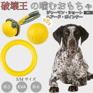 �y5�{�|�C���g�z�W���[�}���E�V���[�g�w�A�[�h�E�|�C���^�[ EVA�h�[�i�c�����O ���p�������� �y�� ��v ���ɂ��� ���ނ������� �{�[���^ �������P�A ���ɕ��� ���^�� ���^�� ��^���Ή� 