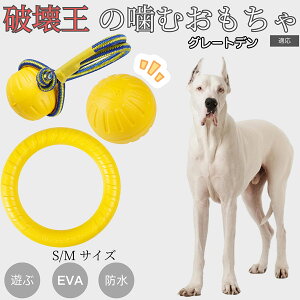 �y5�{�|�C���g�z�O���[�g�E�f�[���iGreat Dane�j EVA�h�[�i�c�����O ���p�������� �y�� ��v ���ɂ��� ���ނ������� �{�[���^ �������P�A ���ɕ��� ���^�� ���^�� ��^���Ή� �y�b�g�g�C �X�g