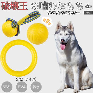 VxAEnXL[iSiberian Huskyj EVAh[icO p y v ɂ ނ {[^ PA ɕ ^ ^ ^Ή ybggC XgX