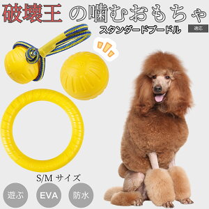 �y5�{�|�C���g�z�X�^���_�[�h�E�v�[�h���iStandard Poodle�j EVA�h�[�i�c�����O ���p�������� �y�� ��v ���ɂ��� ���ނ������� �{�[���^ �������P�A ���ɕ��� ���^�� ���^�� ��^���Ή� �y�b