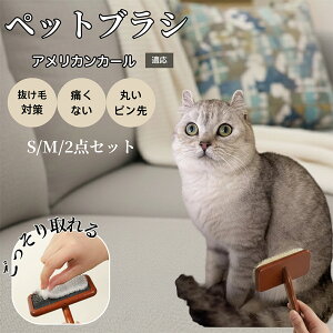 AJJ[ American Curl  L XbJ[uV ybguV ю ؐObv suV ђZёΉ ^ ^ ^L Lp O[~OuV }bT[WuV