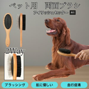 �u�ő�15%�I�t�N�[�|���v �A�C���b�V���E�Z�b�^�[�iIrish Setter�j �ؐ��y�b�g���ʃu���V ���L���p �y�b�g�u���V �����ю�� �X���b�J�[�u���V �{ �R�[����̌^ �u���b�V���O ���ю� �Z�ю� ��