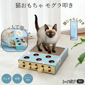 �y5�{�|�C���g�z�g�C�{�u Toybob �L�X�N���b�`���[ ������@�� �L����炵�t�� ���@�\�L�������� �܂Ƃ� �_���{�[���܂Ƃ� �˂��݂������� �����L�p �^���s���΍� �L�X�g���X���� ����������