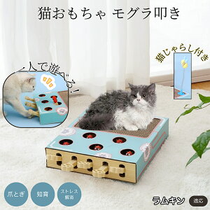 �y5�{�|�C���g�z�����L�� Lambkin �L�X�N���b�`���[ ������@�� �L����炵�t�� ���@�\�L�������� �܂Ƃ� �_���{�[���܂Ƃ� �˂��݂������� �����L�p �^���s���΍� �L�X�g���X���� ��������