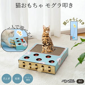 �y5�{�|�C���g�z�x���K�� �L�X�N���b�`���[ ������@�� �L����炵�t�� ���@�\�L�������� �܂Ƃ� �_���{�[���܂Ƃ� �˂��݂������� �����L�p �^���s���΍� �L�X�g���X���� ���������Ή��L