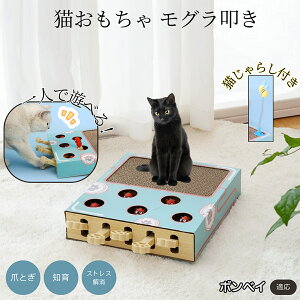 �y5�{�|�C���g�z�{���x�C Bombay �L�X�N���b�`���[ ������@�� �L����炵�t�� ���@�\�L�������� �܂Ƃ� �_���{�[���܂Ƃ� �˂��݂������� �����L�p �^���s���΍� �L�X�g���X���� ����������