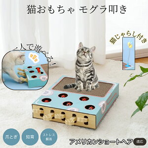 �A�����J���V���[�g�w�A American Shorthair �L�X�N���b�`���[ ������@�� �L����炵�t�� ���@�\�L�������� �܂Ƃ� �_���{�[���܂Ƃ� �˂��݂������� �����L�p �^���s���΍� �L�X�g���X���� ��