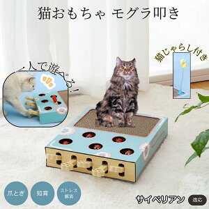 �y5�{�|�C���g�z�T�C�x���A�� Siberian �L�X�N���b�`���[ ������@�� �L����炵�t�� ���@�\�L�������� �܂Ƃ� �_���{�[���܂Ƃ� �˂��݂������� �����L�p �^���s���΍� �L�X�g���X���� ����