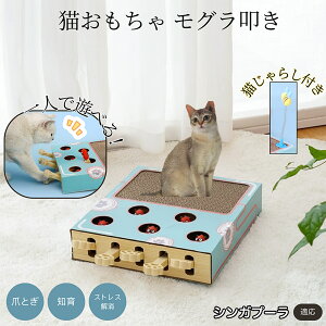 �y5�{�|�C���g�z�V���K�v�[�� Singapura �L�X�N���b�`���[ ������@�� �L����炵�t�� ���@�\�L�������� �܂Ƃ� �_���{�[���܂Ƃ� �˂��݂������� �����L�p �^���s���΍� �L�X�g���X���� ����