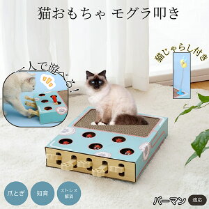 �y5�{�|�C���g�z�o�[�}�� Birman �L�X�N���b�`���[ ������@�� �L����炵�t�� ���@�\�L�������� �܂Ƃ� �_���{�[���܂Ƃ� �˂��݂������� �����L�p �^���s���΍� �L�X�g���X���� ����������