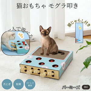 �y5�{�|�C���g�z�o�[�~�[�Y Burmese �L�X�N���b�`���[ ������@�� �L����炵�t�� ���@�\�L�������� �܂Ƃ� �_���{�[���܂Ƃ� �˂��݂������� �����L�p �^���s���΍� �L�X�g���X���� ������