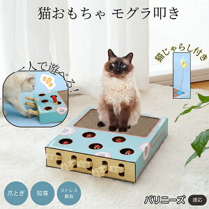 �y5�{�|�C���g�z�o���j�[�Y Balinese �L�X�N���b�`���[ ������@�� �L����炵�t�� ���@�\�L�������� �܂Ƃ� �_���{�[���܂Ƃ� �˂��݂������� �����L�p �^���s���΍� �L�X�g���X���� ������