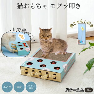 �y5�{�|�C���g�z�X�N�[�J�� Skookum �L�X�N���b�`���[ ������@�� �L����炵�t�� ���@�\�L�������� �܂Ƃ� �_���{�[���܂Ƃ� �˂��݂������� �����L�p �^���s���΍� �L�X�g���X���� ������