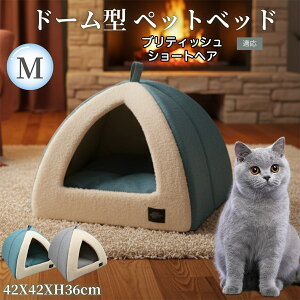 �u���e�B�b�V���V���[�g�w�A British Shorthair �h�[���^�y�b�g�x�b�h �y�b�g�n�E�X L �L �� �����p �R���Z���g�� �ӂ�ӂ� �N�b�V�����t�� �~�p �ėp �􂦂�