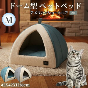 �A�����J���V���[�g�w�A American Shorthair �h�[���^�y�b�g�x�b�h �y�b�g�n�E�X L �L �� �����p �R���Z���g�� �ӂ�ӂ� �N�b�V�����t�� �~�p �ėp �􂦂�