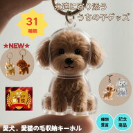 ★SS半額SALE★犬の毛収納キーホルダー メモリアルペットグッズ 透明ケース 愛犬 ペット 遺毛 ケース 透…