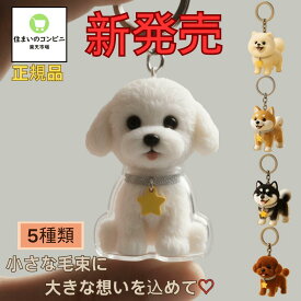 【LINE追加10％OFFクーポン】犬の毛収納キーホルダー メモリアルペットグッズ 透明ケース 愛犬 ペット 遺毛 ケース 透明 遺毛入れ 抜け毛入れ 犬の毛収納ボトル 犬毛玉入れ　犬の毛収納ボトル 可愛い トイプードル 遺毛入れ ケース 透明 ペット 遺毛 柴犬 犬の毛カプセル