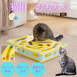 �y5�{�|�C���g�z�G�W�v�V�����}�E Egyptian Mau ��] �L�p�������� �m��g�C ���邮�� ��{�[�� �L����炵 �@��@�� �y�b�g�p�i ���� �^�� �s�� �X�g���X ���U ����� �Ή�