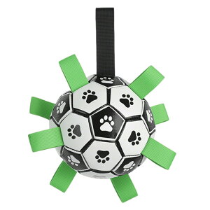 �y5�{�|�C���g�z �^�C�j�[�v�[�h���iTiny Poodle�j���p�������� �T�b�J�[�{�[���^ �y�b�g�{�[�� ���� �������� �^�O�t�� �y�� �e�͐݌v �����₷�� ���ɕ��� ���� ���O ���V�ёΉ� ��v �ϋv�� 