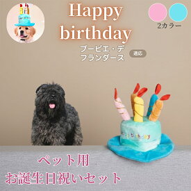 「最大15%オフクーポン」 ブービエ・デ・フランダース ペット用 バースデー 帽子 犬 猫 誕生日 ハット ケーキモチーフ 仮装 コスプレ パーティー かわいい おしゃれ インスタ映え 小型犬 中型犬 猫対応 オールシーズン かぶりもの