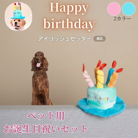 「最大15%オフクーポン」 アイリッシュ・セッター（Irish Setter） ペット用 バースデー 帽子 犬 猫 誕生日 ハット ケーキモチーフ 仮装 コスプレ パーティー かわいい おしゃれ インスタ映え 小型犬 中型犬 猫対応 オールシーズン かぶりもの