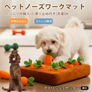 �u�ő�15%�I�t�N�[�|���v �A�C���b�V���E�Z�b�^�[�iIrish Setter�j �� �m�[�Y���[�N�}�b�g �ɂ񂶂� �m��ߋ� �k�o�g���[�j���O ����T�� ���H���h�~ �ދ��΍� ����ԑ΍� �����V�� ����~