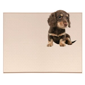 �y5�{�|�C���g�z �^�C�j�[�v�[�h���iTiny Poodle�j�y�b�g�g�C���}�b�g �V���R�� �h�� ����~�� �􂦂� �� �L ���^�� ���^�� �y�b�g�V�[�g����h�~ ���������g���[��p �t���[�����O�ی� ���L�P