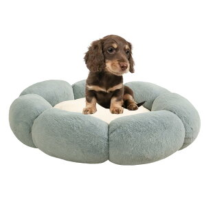 �y5�{�|�C���g�z �^�C�j�[�v�[�h���iTiny Poodle�j �y�b�g�x�b�h �Ԍ^ �� �L ���p �􂦂� �ې�OK �ӂ�ӂ� �������� �g���� ����~�� ��� ��v �y�� �����p �q�� �������� �t�ďH�~ ������� 