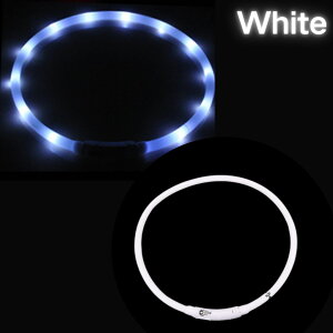 �y5�{�|�C���g�z �^�C�j�[�v�[�h���iTiny Poodle�j �� �L LED ������ USB�[�d�� �����J���[ �S7�F ���C���{�[ ��� �U�� ���S�΍� �h�� �_�炩�V���R�� �y�� ���^�� ���^�� ��^�� �T�C�Y���߉� 