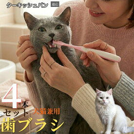 「最大15%オフクーポン」 ターキッシュバン Turkish Van 【4本セット】 ペット 歯ブラシ 犬用 猫用 柔らかい 痛み軽減 極細毛 デンタルケア 歯垢 除去 口腔ケア 歯石予防 滑り止め 肉球デザイン かわいい ケース付き 衛生