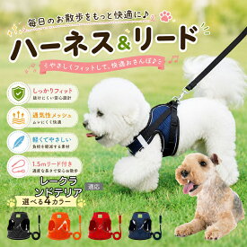 レークランドテリア 犬 ハーネス リードセット 抜けにくい 小型犬 中型犬 子犬 猫 胴輪 反射 メッシュ 簡単装着 負担が少ない 引っ張り癖 気管虚脱 予防 散歩デビュー XS S M L XL