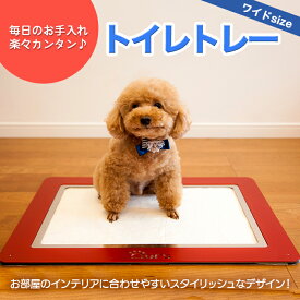楽天市場 ステンレス トレー ペット ペットグッズ の通販