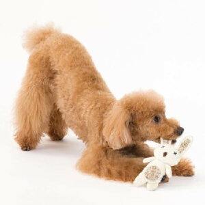 yFADz Aj} vbV gC LTCY rbg XNC[J[ |GXe pObY X}Ck