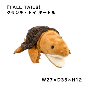 yTALL TAILSzN`EgC ^[g g[EeCY   hbOgC ʂ J  TXeBiu X}Ck/pi