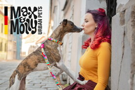 【Max&Molly】 犬用首輪 オリジナルギア（スマートIDタグ付き） M ペット用品 犬用グッズ スマイヌ