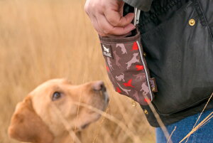 yP.L.A.Y.z XJEgAoEgRNV g[jO|[` RpNg pObY X}Ck