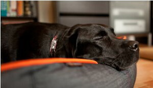 yP.L.A.Y.z EWxbh IWiRNV A[ofj IW  L xbh ybgpi X}Ck